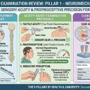 An educational diagram titled 