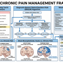 Red/yellow flag screening, DBCDR algorithm, Waddell Non-organic Signs, brain neuroplasticity acute vs. chronic, return-to-work algorithm — Orthopedics 208 CE