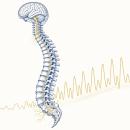 07/14/26 7 - 9 PM CT Spinal Manipulation & Longevity Live Webinar | CCED Chiropractic CE image