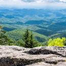 North Carolina 8-Hour Online Max Chiropractic CE Bundle | CCED image