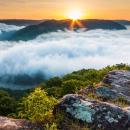 West Virginia 6-Hour Online Max Chiropractic CE Bundle | CCED image
