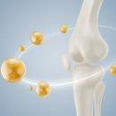 3D illustration of a human bone surrounded by calcium- and collagen-rich foods on a soft blue background