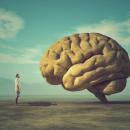 Large stone carved in the shape of a human brain in a desert landscape with a small figure standing beside it