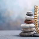 Stack of balanced stones beside a model of the human spine, spinal wellness concept