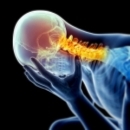 Sports Injuries 282: Sports Injuries Related to the Head and Neck image