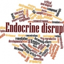 Nutrition 217: Endocrine Disruptors in Health & Disease image