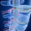 Case Studies & Clinical Pearls 210-A: The Thorax II Part I | Online Chiro Credit image