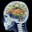 Nutrition 212:The Brain Game II - How Food Impacts Brain Function, Mood, and Aging image
