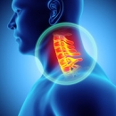 Case Studies & Clinical Pearls 202: The Cervical Spine | Online Chiropractic Education image