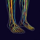 Nutrition 206: Management of Neuropathy image