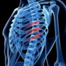 Adjusting & Manual Therapy 202: Adjusting The Costals  image