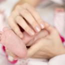 02/28/2023 7 - 9 PM CT  Pediatrics 312 Clinical Case – Toxic Synovitis and Chiropractic image